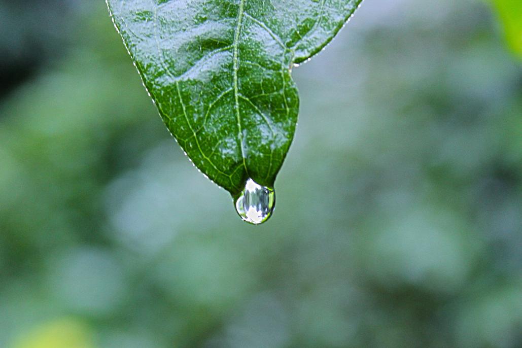 Velit laboriosam soluta doloremque doloribus sit veritatis cupiditate sit laudantium sit