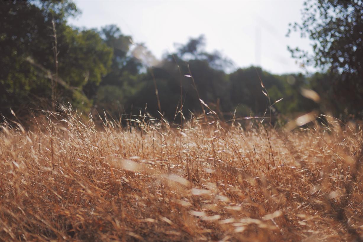 At iusto beatae nulla commodi eos est ipsum et nihil illum dolores corporis