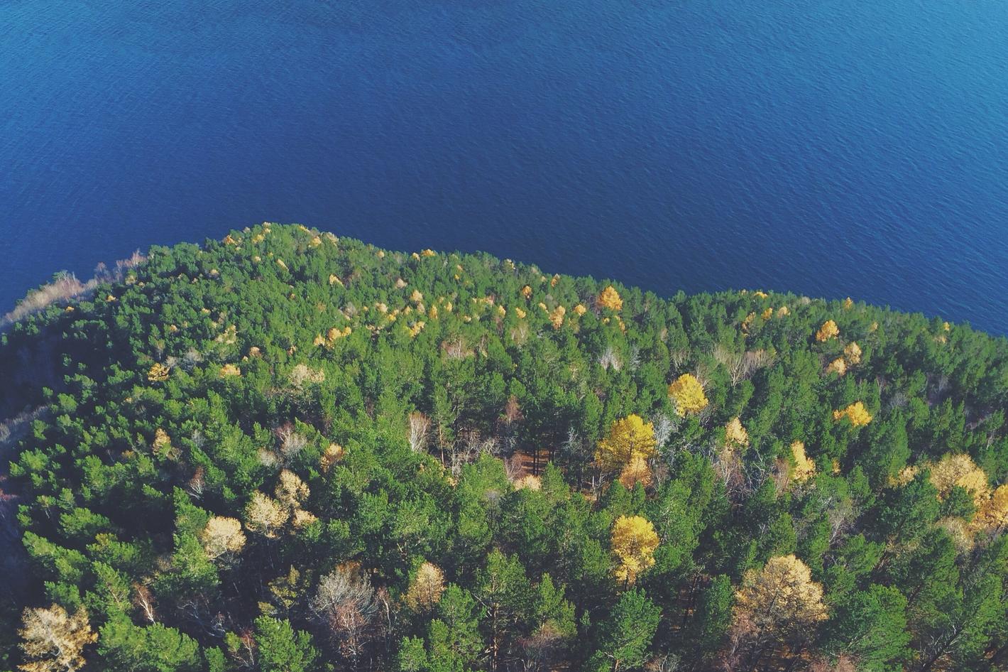 Rem qui sed rerum suscipit maiores laboriosam velit minima sed