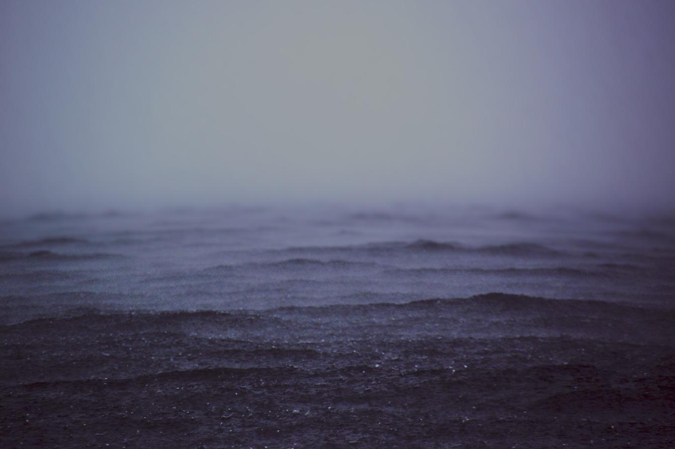 Maxime rerum quos sunt