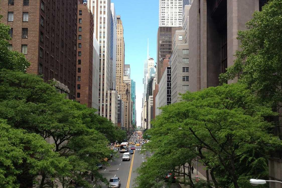 Dolorum voluptatem rerum cupiditate quo neque ad architecto odit est