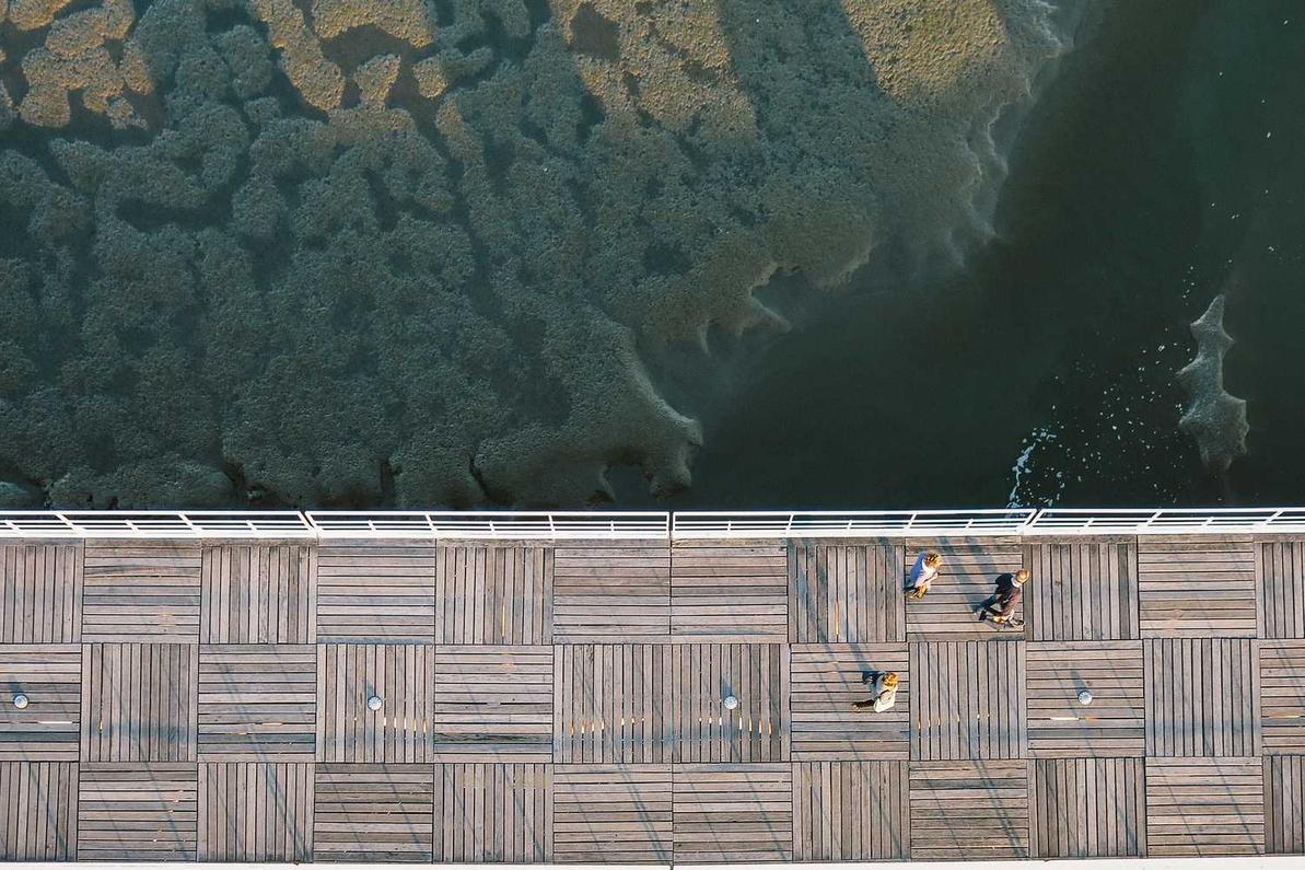 Sit rerum qui velit veniam