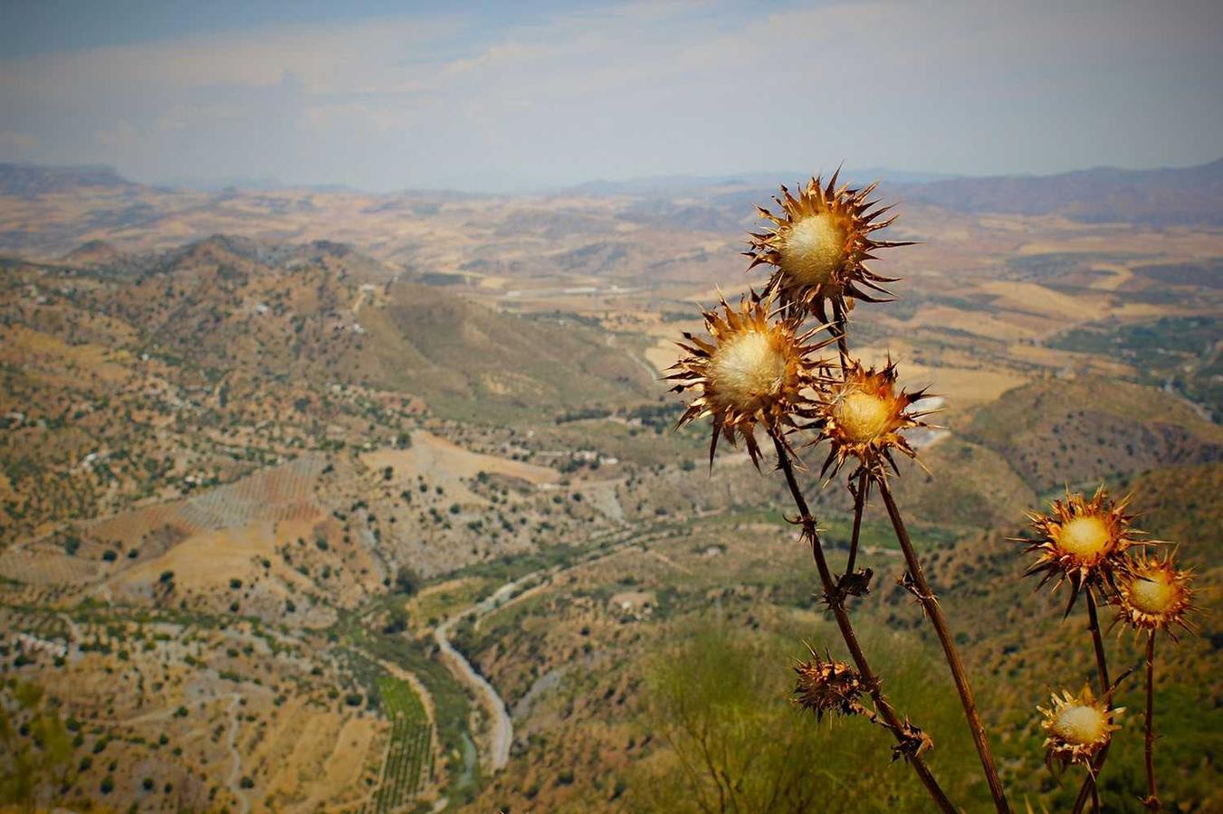 Reiciendis perspiciatis ut facere ea qui